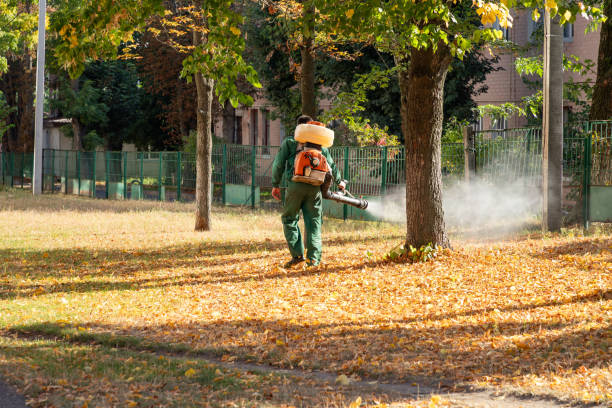 Best Mosquito Control Services  in Kodi Station, AK